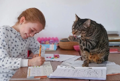 Как мотивировать ребенка на учебу и научить его ответственно делать уроки