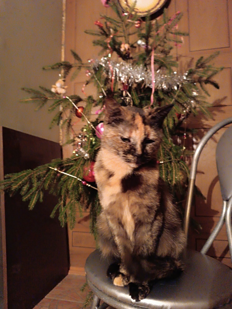 Человек располагающий/ Часть Вторая - "Закон Подлости"/ Драма "Песнь Кассандры". Акт 3. "Кладбище домашних животных?" - "Диагноз"