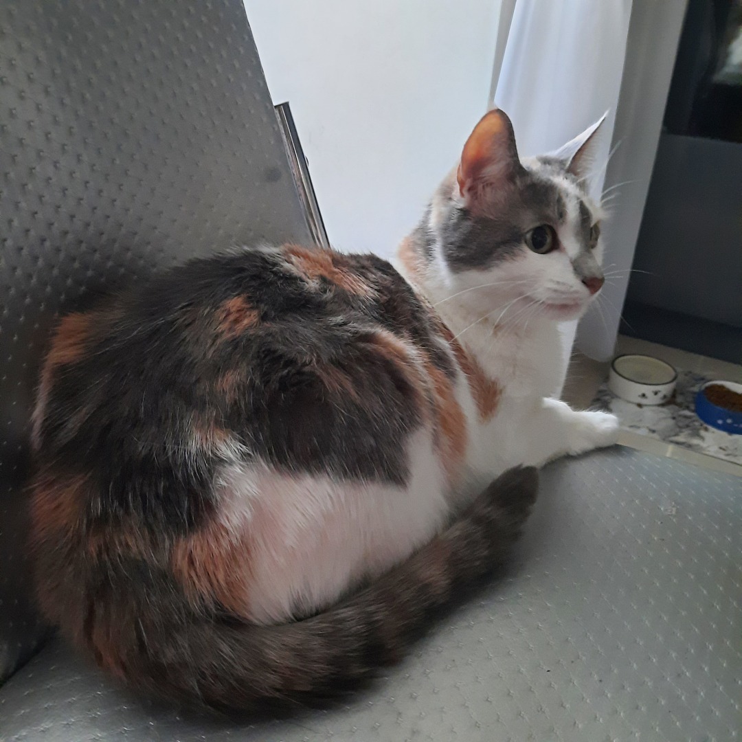 Как я чуть не стала ждулей. История с сайта знакомств.