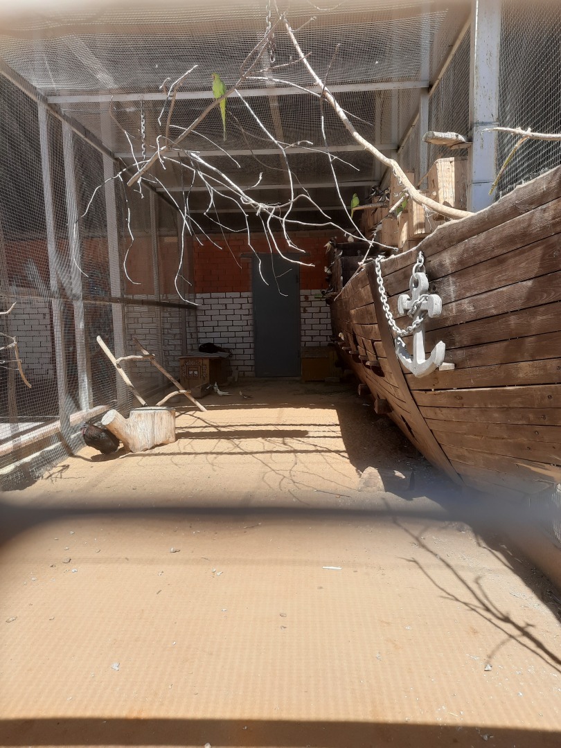 О стрессе, который испытывают животные, особенно в жару