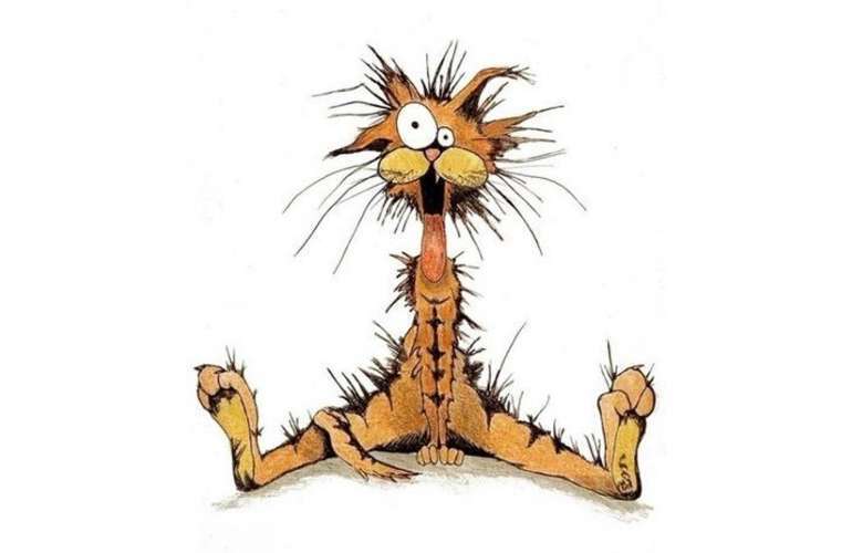 О стрессе, который испытывают животные, особенно в жару