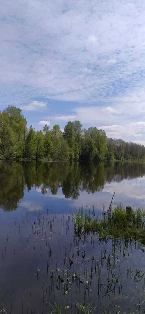 И вот снова я здесь, хоть и во сне