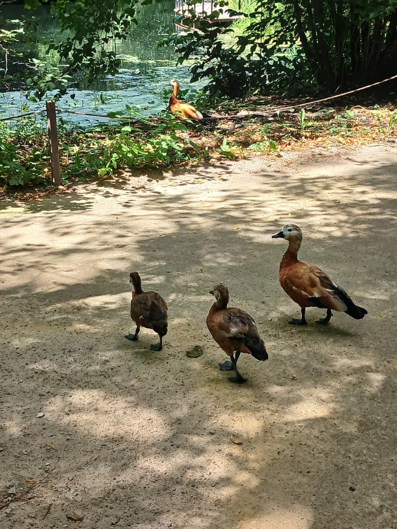 Чего мне хочется