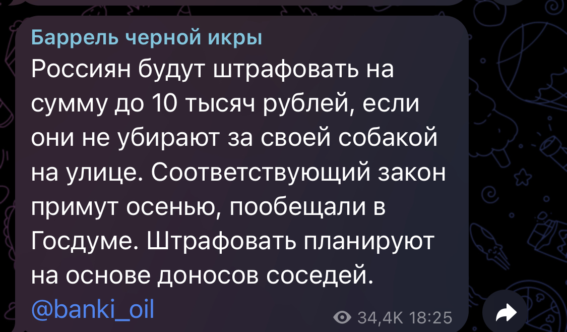 В Думе поддержали проект о штрафах за неправильный выгул домашних животных