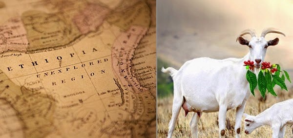 Загадка популярности кофе или почему весь мир без ума от него