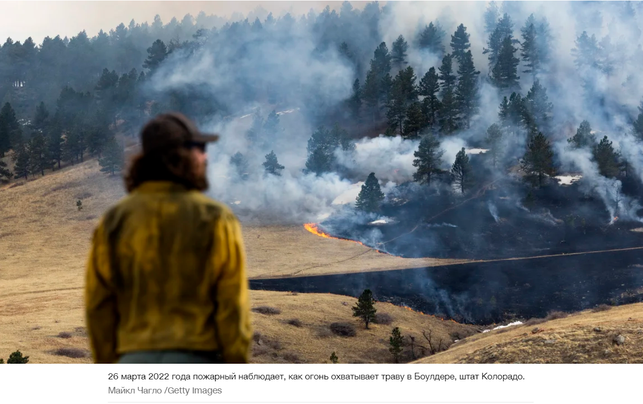 Растение, которое есть повсюду, усиливает растущий риск стихийных бедствий
