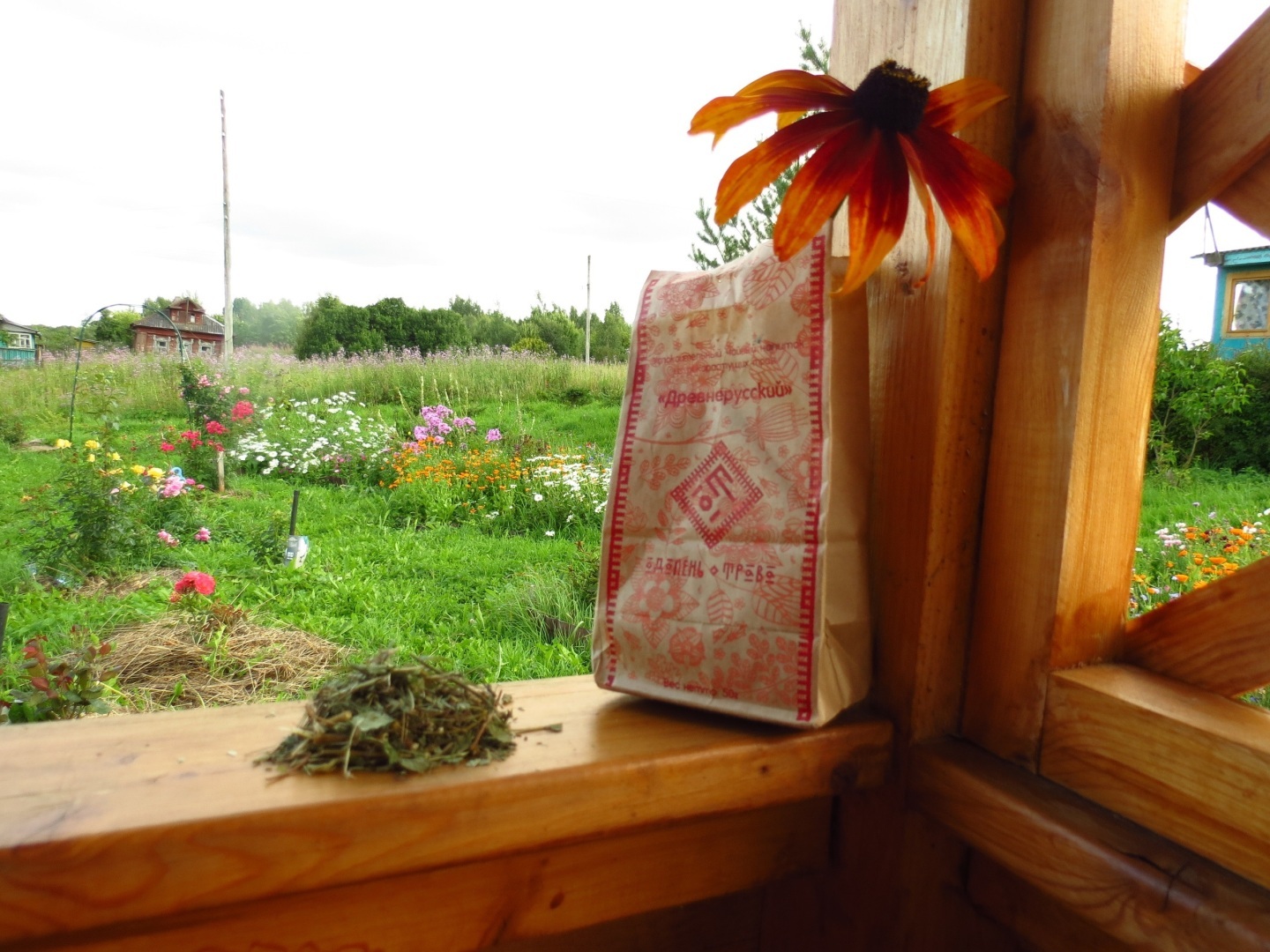 О том, как я начала собирать лекарственные травы и что из этого вышло