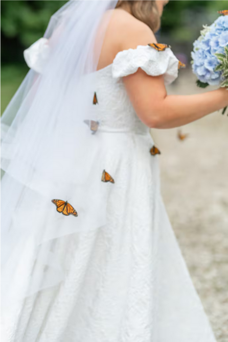 Бабочки на свадьбе растрогали невесту до слез. Вскоре плакали и незнакомцы