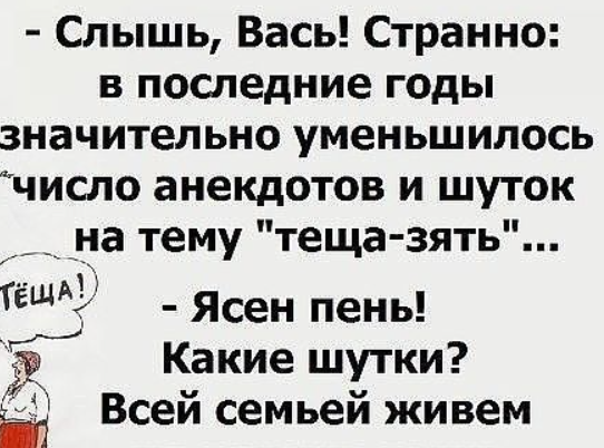 Немного юмора на тему отношений между тещей и зятем! Забавные истории и анекдоты!