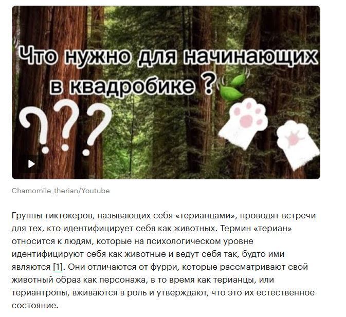 Квадробика. Фурри. Теарианцы. Что это? И нас не обошло мимо