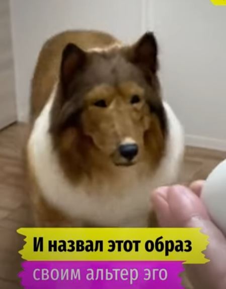 Квадробика. Фурри. Теарианцы. Что это? И нас не обошло мимо