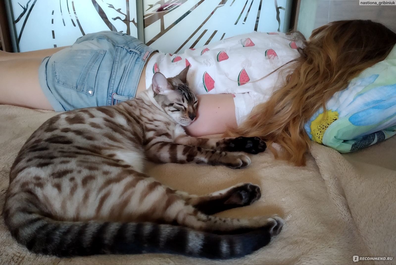 Кот демонстративно (ссы)...писает на постель - но анализы в норме! Ветеринар говорит, это поведенческое… Мой личный опыт