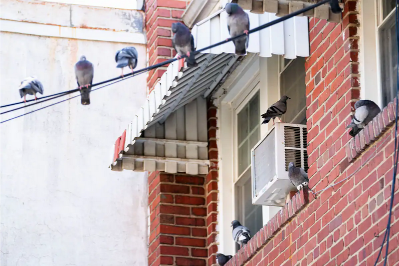 «Все пьют это»: почему этот тип «вечного химиката», кажется, повсюду