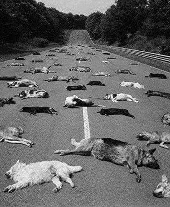 Жестокий отпуск.Фото подлости и предательства.