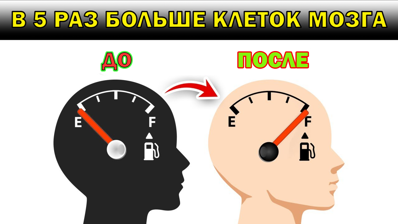 Как ускорить восстановление нервных клеток в 5 раз