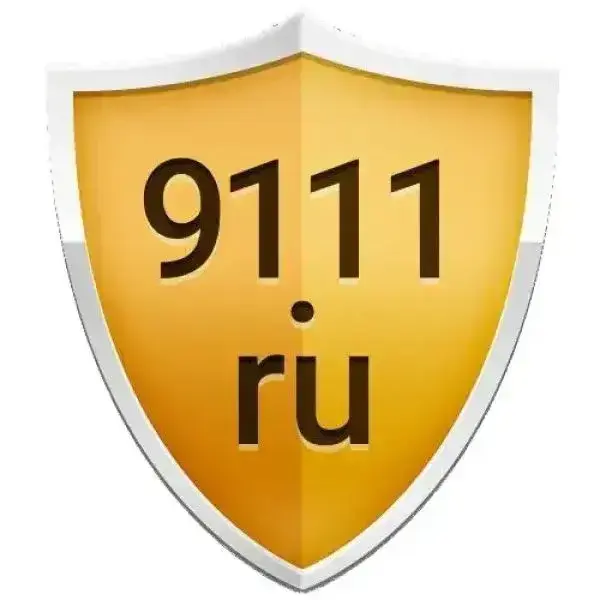 Кто, как и сколько зарабатывает на сайте 9111.ru. Два противоположных мнения