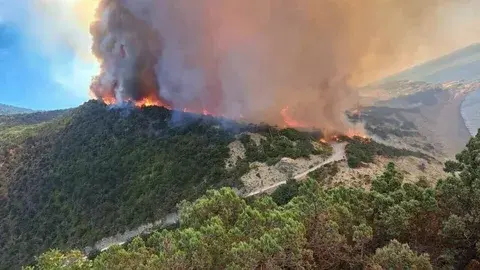 Пожар на юге России. Адское пламя в Абрау-Дюрсо: хроника огненной стихии. Какие курортные районы горят?