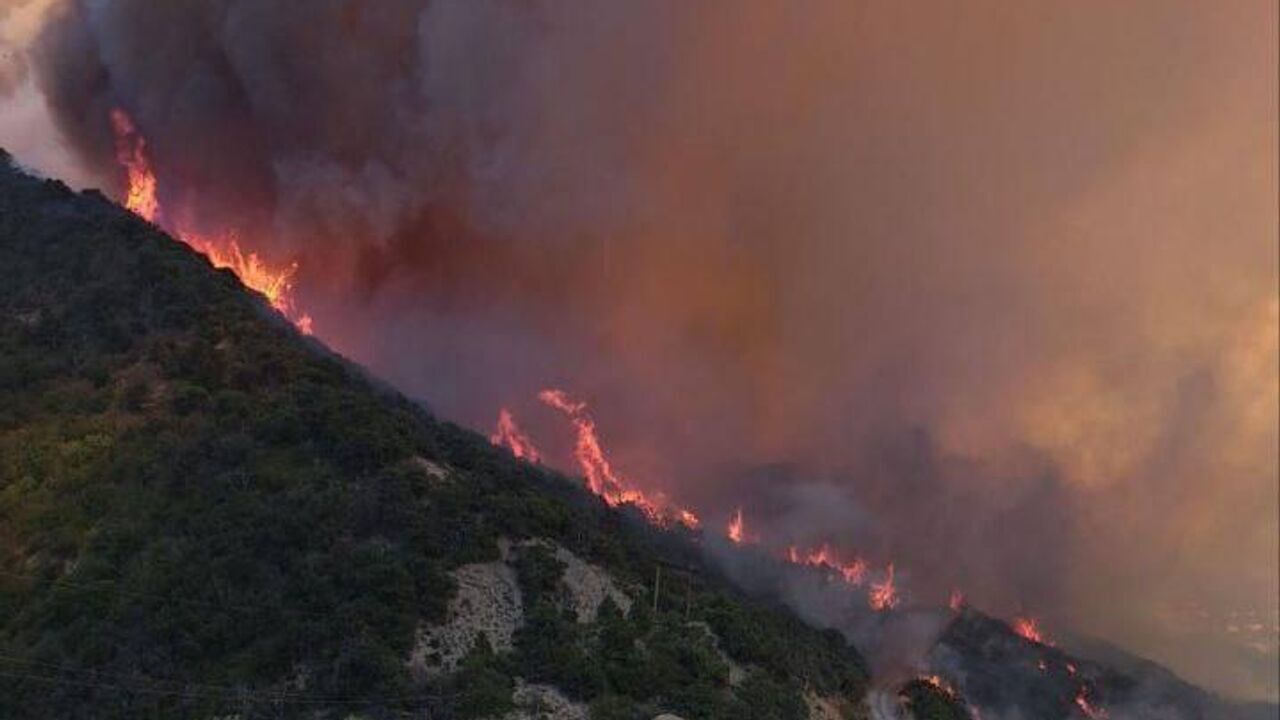 Пожар на юге России. Адское пламя в Абрау-Дюрсо: хроника огненной стихии. Какие курортные районы горят?
