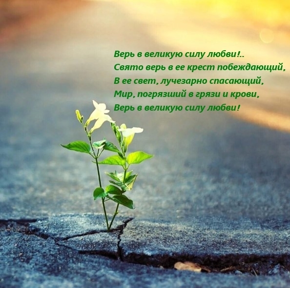 Забытый кумир молодёжи России: Как великого человека убила критика завистников. Его последнее пристанище в Ялте (фото)