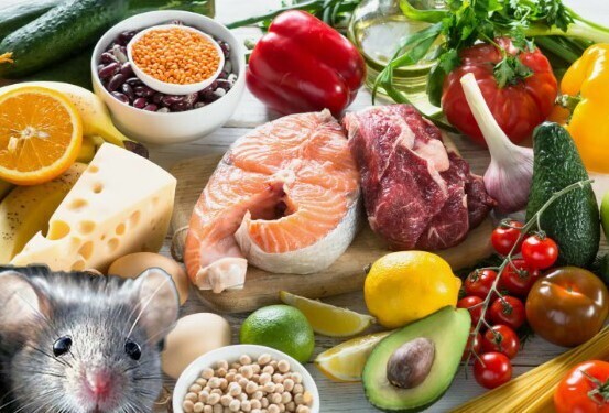 Таблетка от старости стала реальностью? Новая разработка может прибавить человеку 5-10 лет жизни