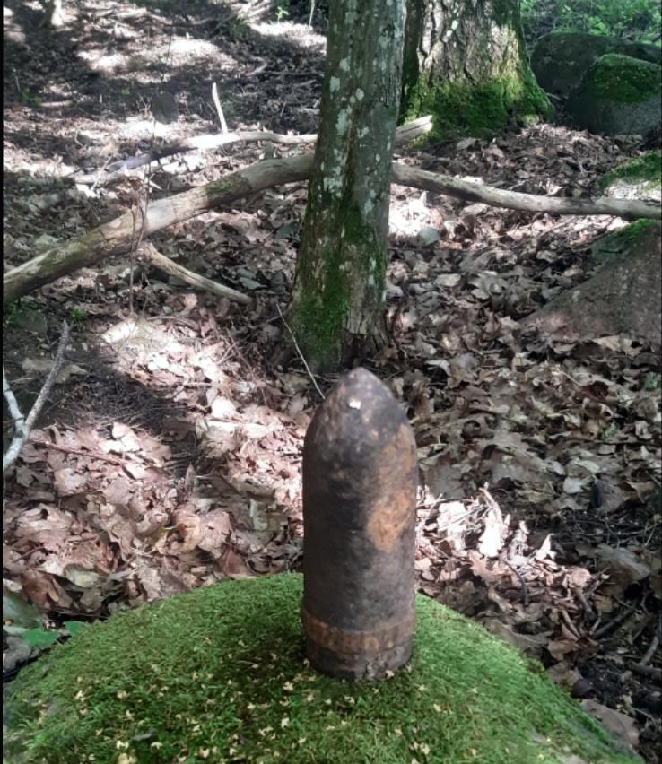 Шёл я лесом, видел чудо...