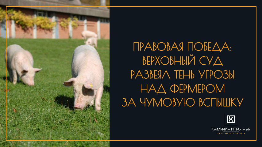 Правовая победа: Верховный Суд развеял тень угрозы над фермером за чумовую вспышку