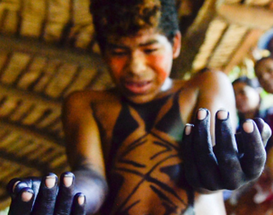 Бразильские страсти и жестокие обычаи в племенах! Хочешь стать мужчиной, терпи ужасную боль!