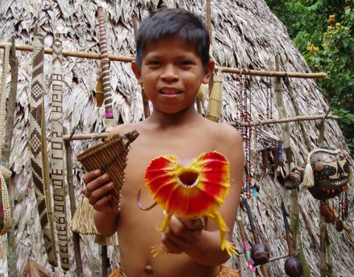 Бразильские страсти и жестокие обычаи в племенах! Хочешь стать мужчиной, терпи ужасную боль!