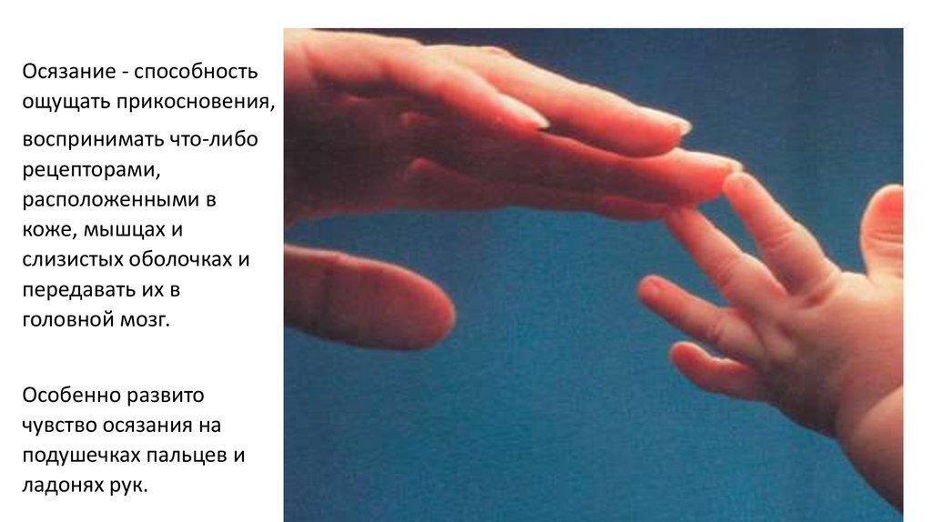 А вы знаете, какой самый большой орган тела у человека? Вы даже не догадываетесь...