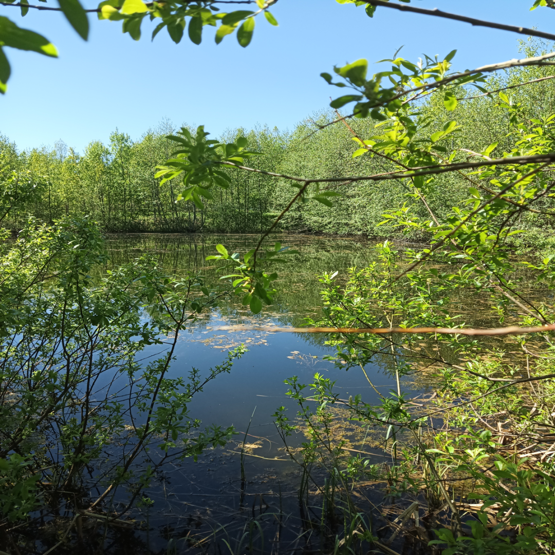 Идеальный участок с экономией в миллионы!