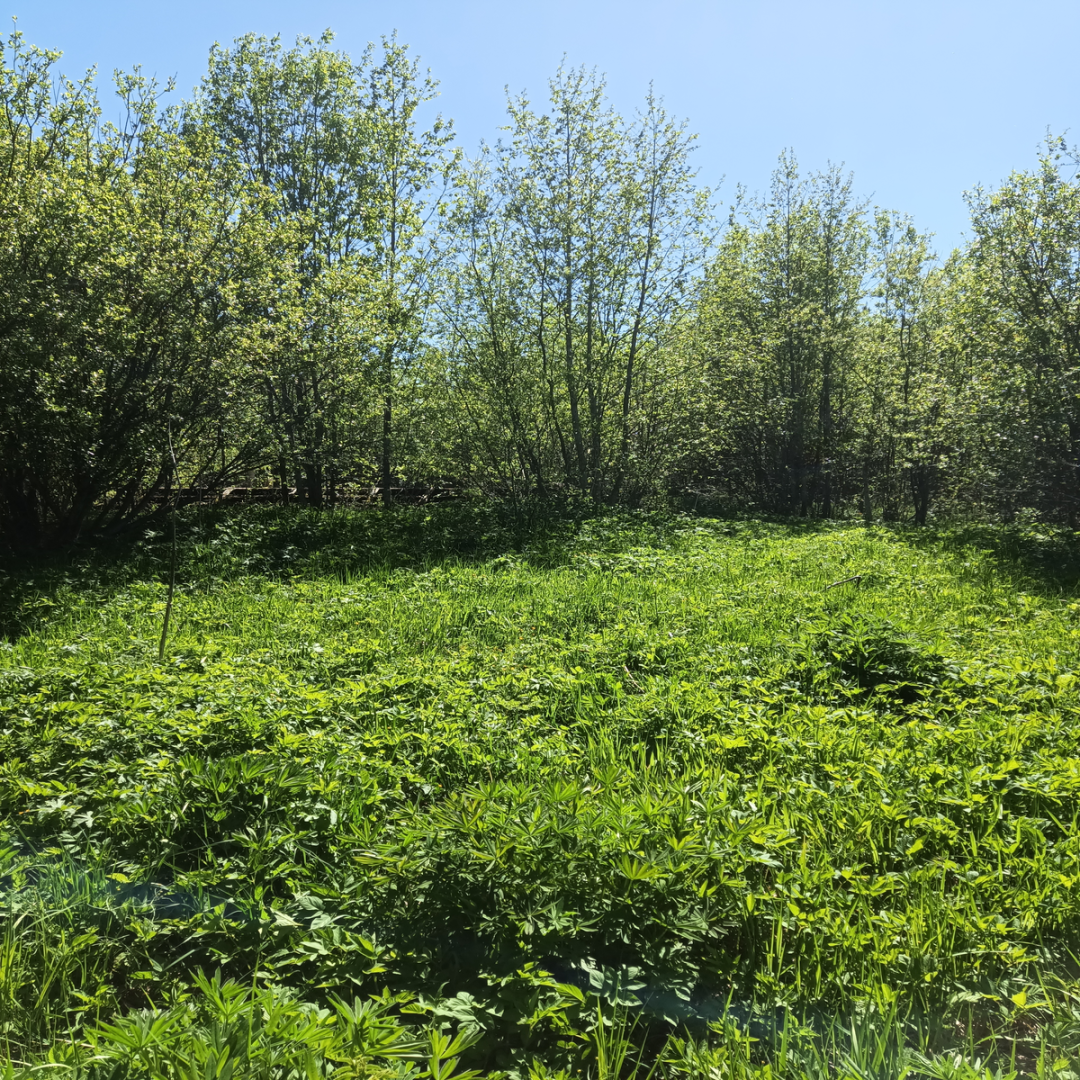 Идеальный участок с экономией в миллионы!