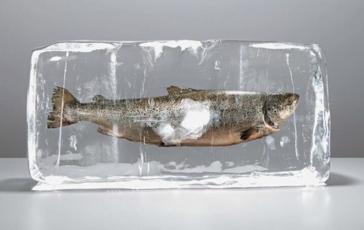 Глава Роспотребнадзора: "Молодёжь перестала есть этот продукт - нужны региональные меры". Что за продукт и почему так произошло?