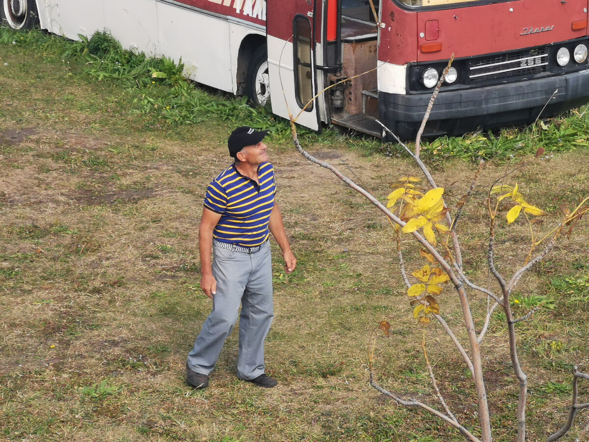 Экспонаты со смыслом музея под открытым небом