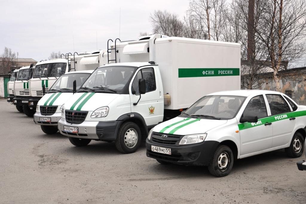 В чём смысл законопроекта о раскрытии для ФСИН врачебной тайны о педофилах?