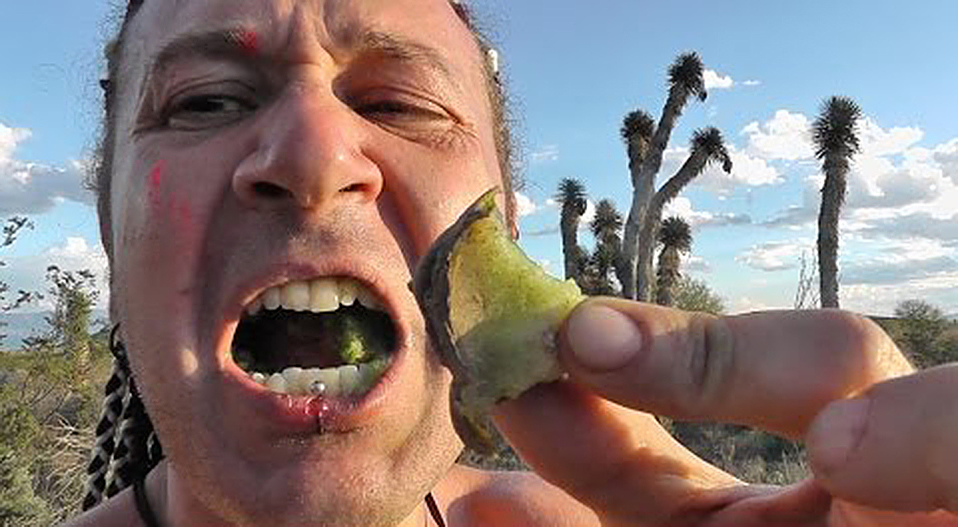 Что такое галлюциногенные Растения Силы? Это наркотики? Первая часть