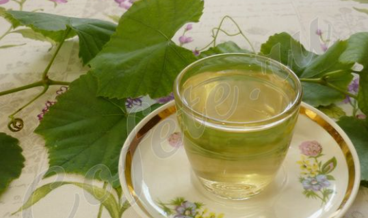 Виноградные листья исцеляют сотни болезней! Чай из листьев винограда!
