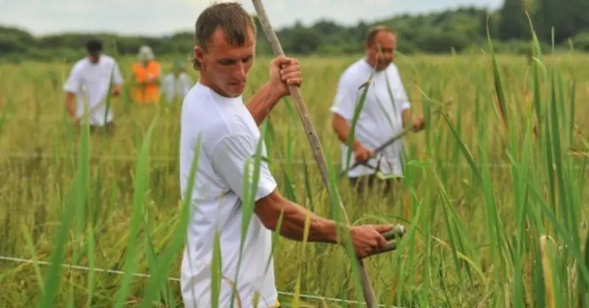С Днем Казанской иконы Божьей матери!