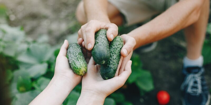 Врач Гандельман заявил, что холодный огуречный суп снижает давление!!!