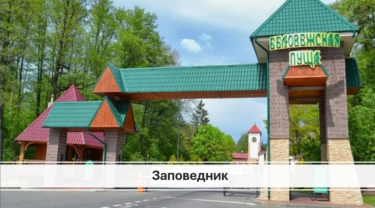 Чем заняться в Беларуси: 10 идей для бюджетного путешествия