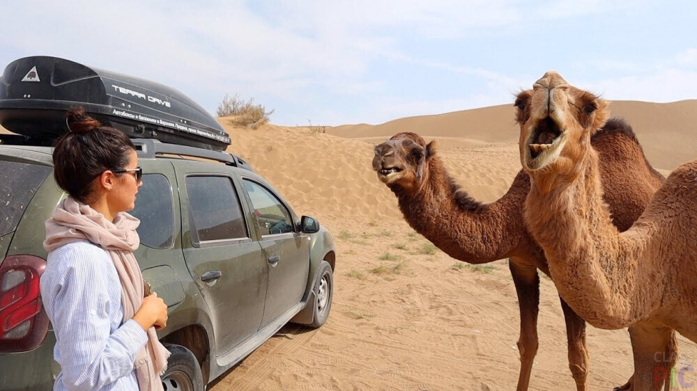 Необычное правило дорожного движения в ОАЭ