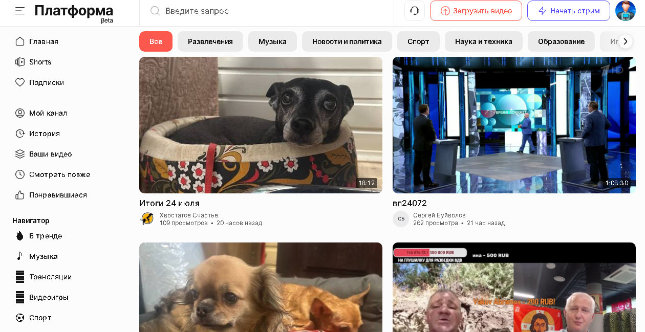 Нужно ли сделать поддержку других видеосервисов помимо Youtube