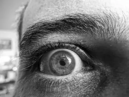 Дневник Дона. Часть - 1