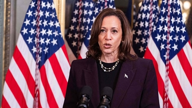 Назначил ли Джо Байден Камалу Харрис «царем границы» для борьбы с нелегальной иммиграцией? "Оправдание"...