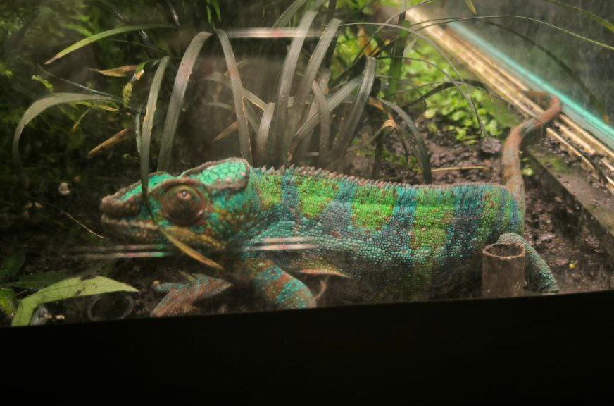 Исследуйте магию подводного мира. Знакомство с Москвариумом