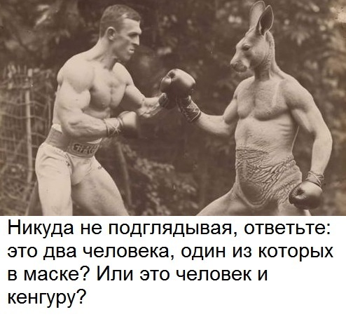 О боях без правил