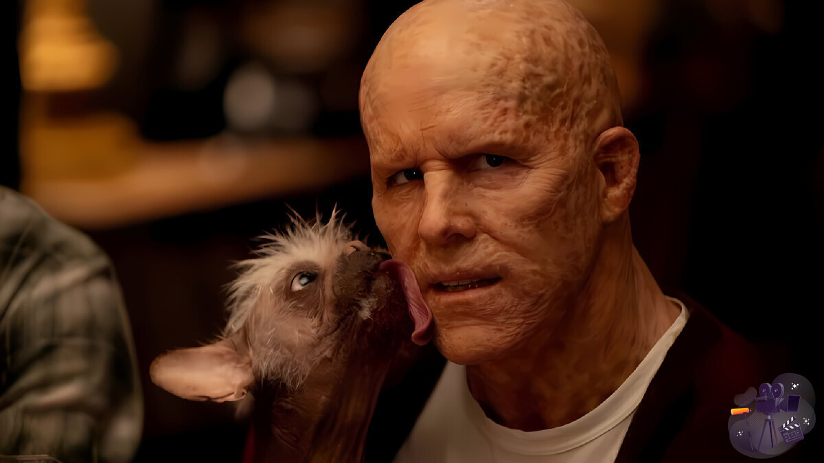 Путь по красной дорожке от «Самой уродливой собаки Англии» до «Дэдпула». Пегги.