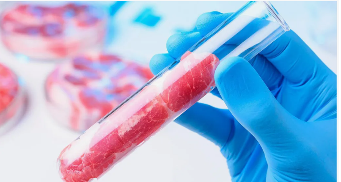 Революция на тарелке: 🤯 Одобрили искусственное мясо! 🥩