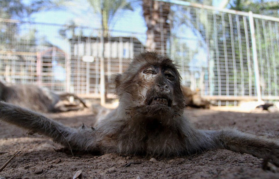 К вопросу о т.н. многополярности