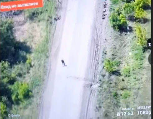 ВС РФ и ВСУ прекратили бой ради одной женщины