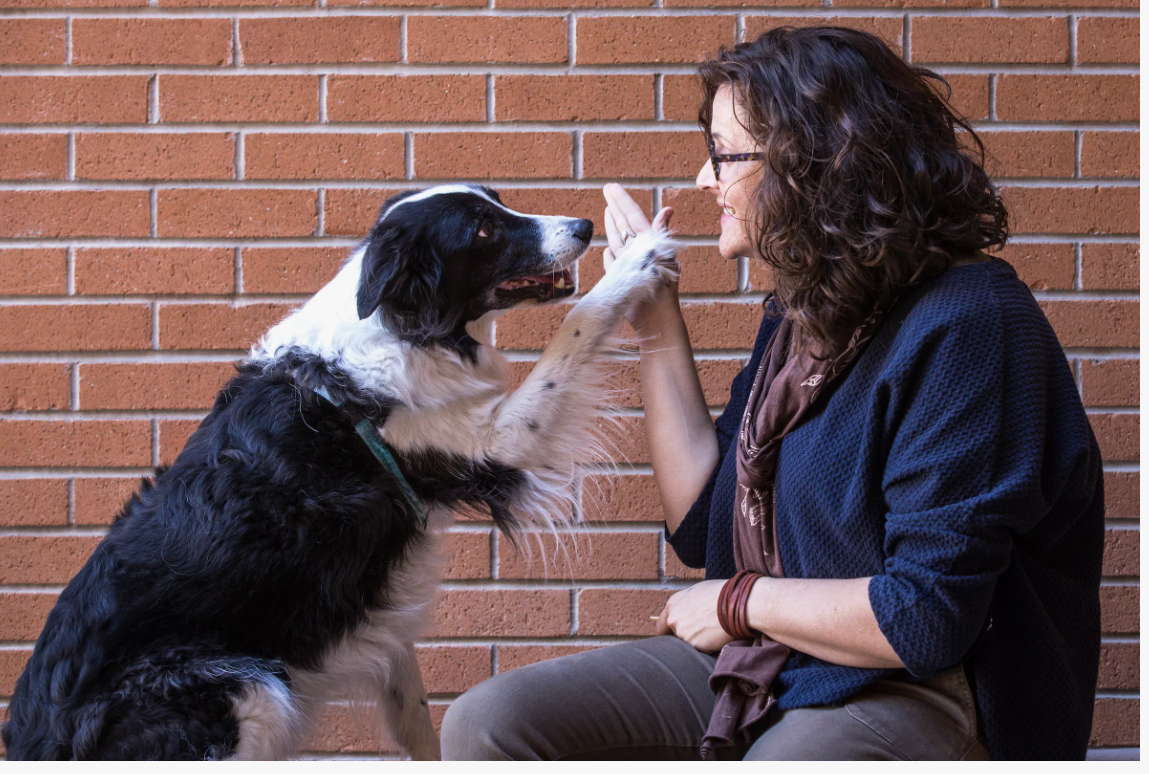 Необычные, интересные и высокооплачиваемые профессии